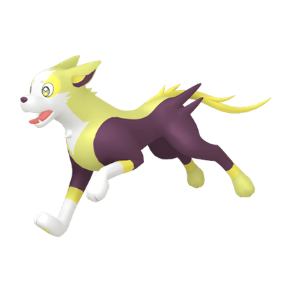 #836 Bellektro SnS