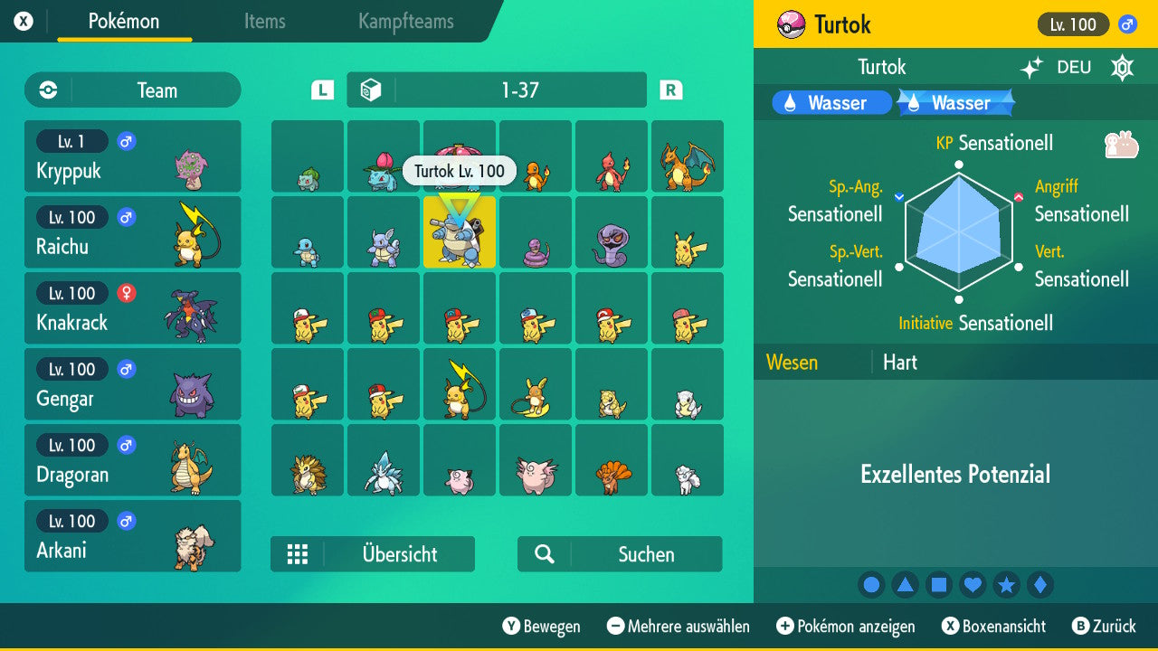 #09 Turtok