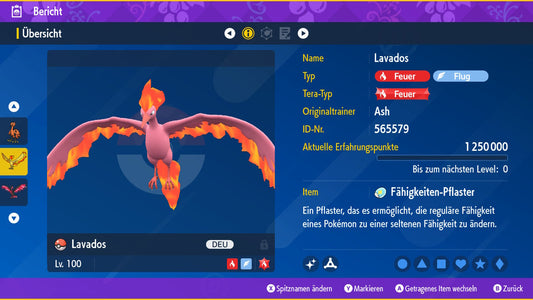 #146 Lavados