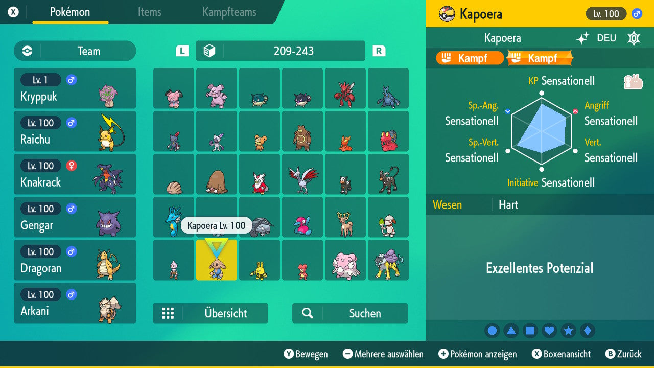 #237 Kapoera