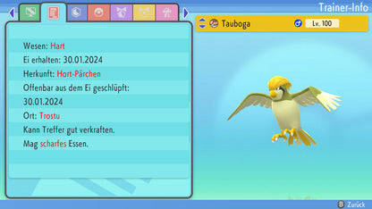 #17 Pidgey