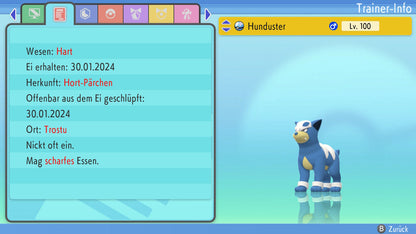 #228 Hunduster BDSP