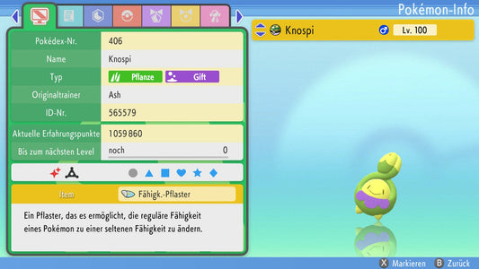 #406 Knospi BDSP