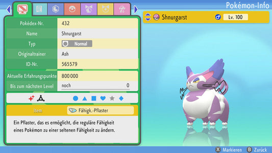 #432 Shnurgarst BDSP