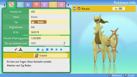 #493 Arceus Boden BDSP