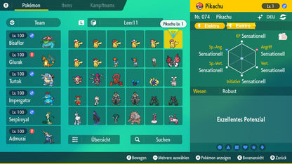 #25 Shiny Pikachu Alola-Kappe