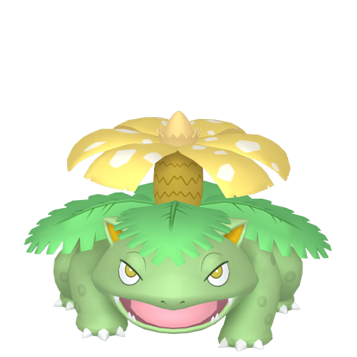 #03 Bisaflor PVP