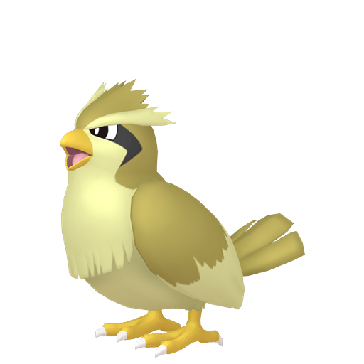 #16 Pidgey