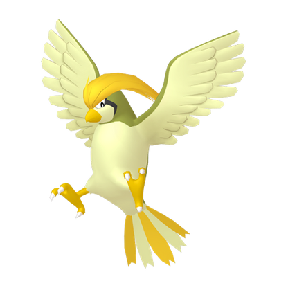 #17 Pidgey