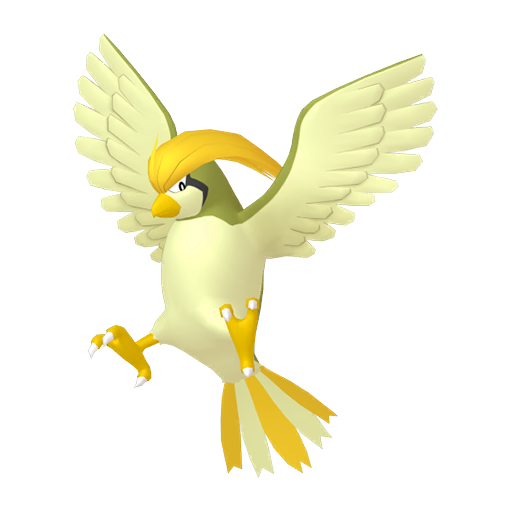 #17 Pidgey