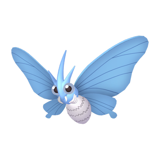 #49 Omot