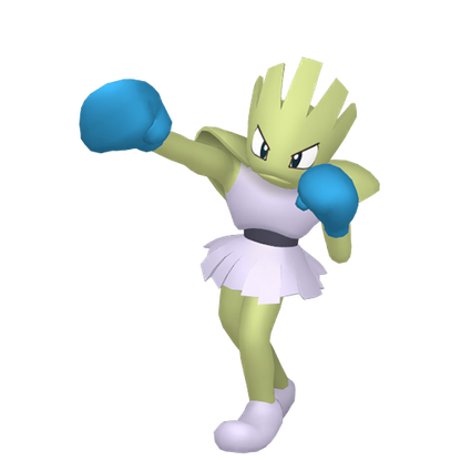 #107 Nockchan BDSP