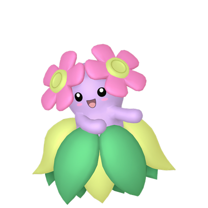 #182 Blubella PVP