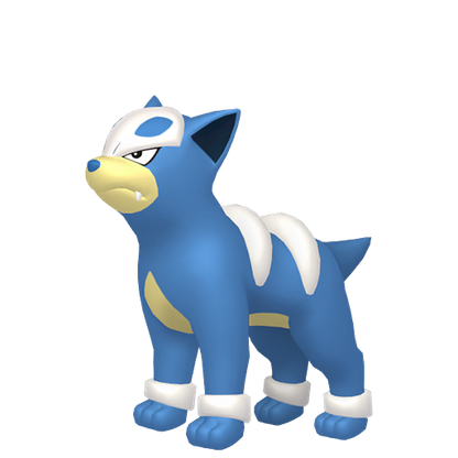 #228 Hunduster BDSP