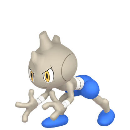 #236 Rabauz SV