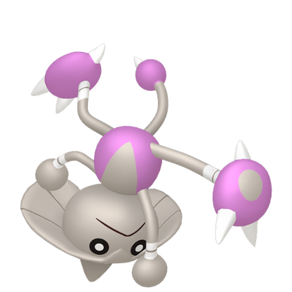 #237 Kapoera