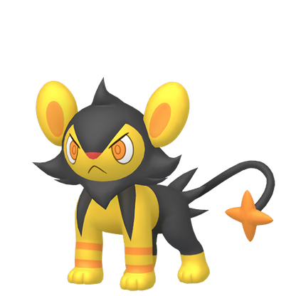 #404 Luxio
