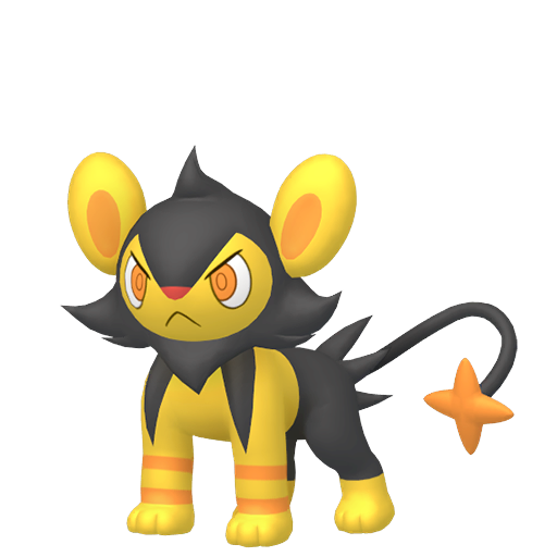 #404 Luxio