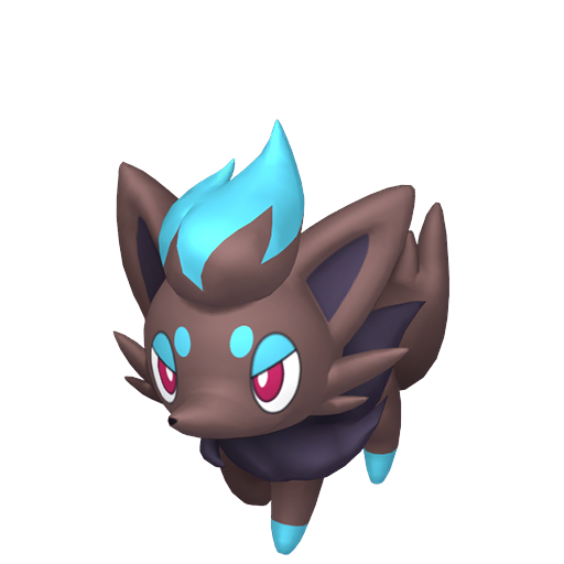 #570 Zorua