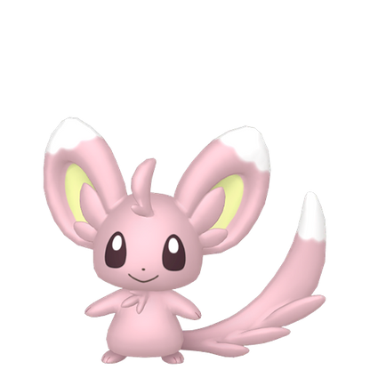 #572 Picochilla SV