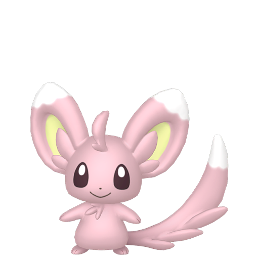 #572 Picochilla