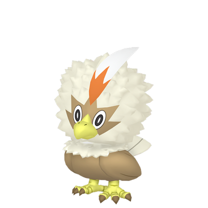 #627 Geronimatz
