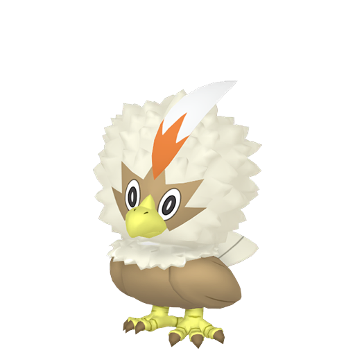 #627 Geronimatz