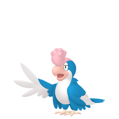 #931 Krawalloro à plumes bleues