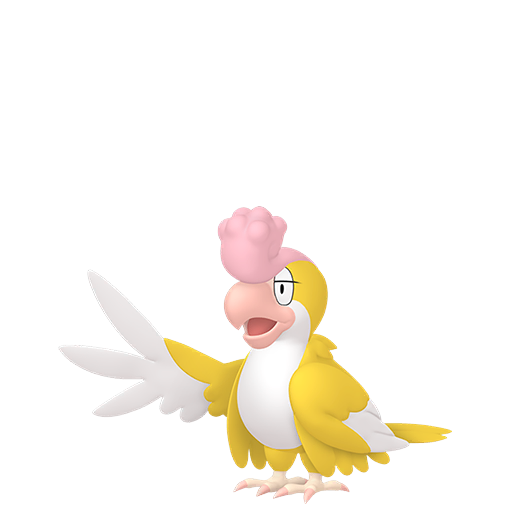 #931 Krawalloro Yellow-feathered PVP SV