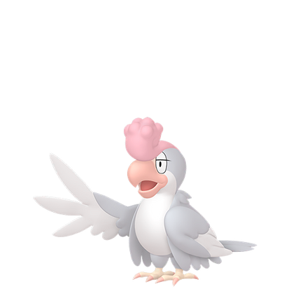 #931 Krawalloro à plumes blanches