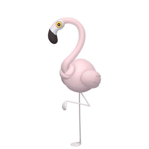 #973 Flamingo